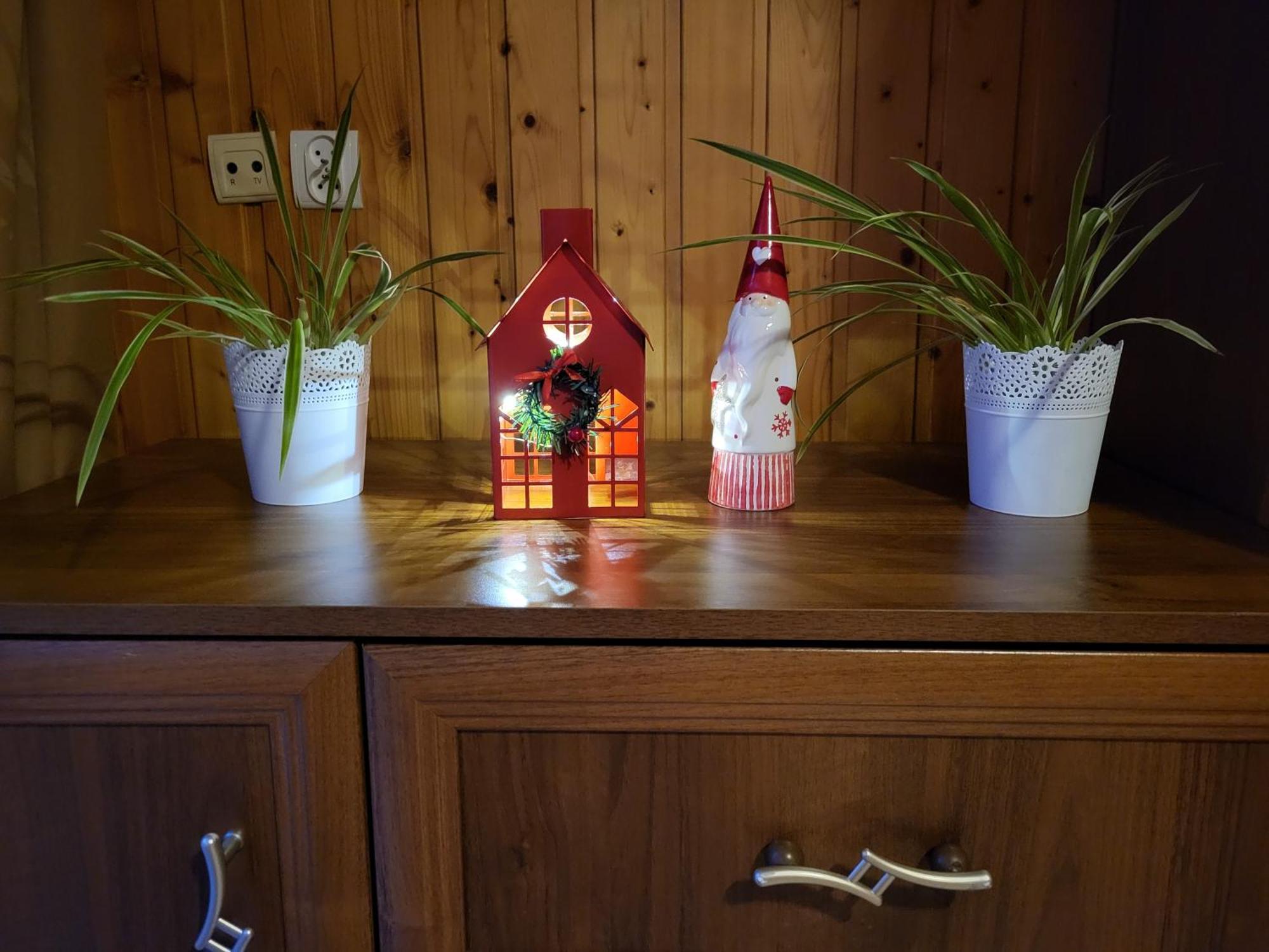 Apartament Harenda 2 Zakopane Buitenkant foto